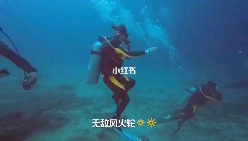 小狗救援行动选关版